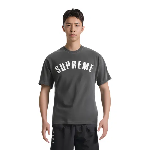 Supreme SS24 WEEK3 CRACKED ARC SS TOP T