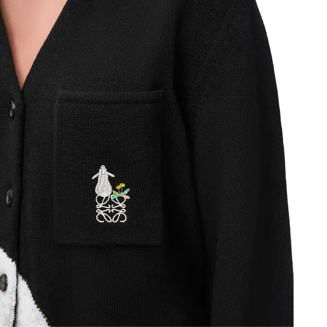 LOEWE x Suna Fujita FW24 V