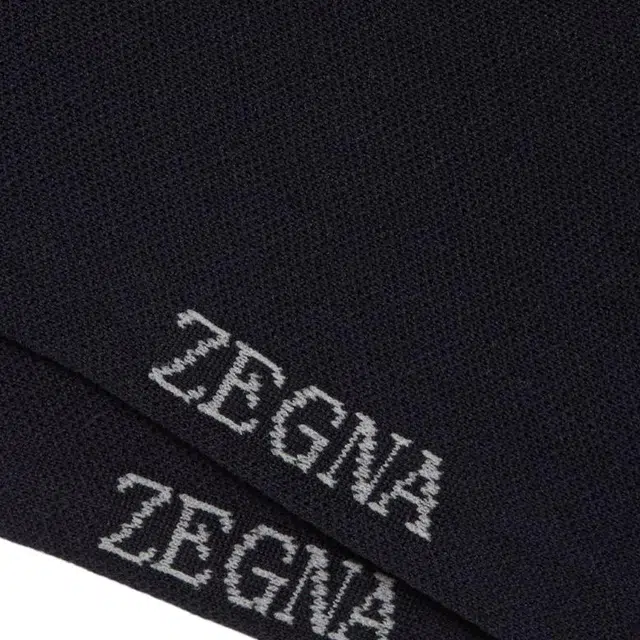 Zegna Logo