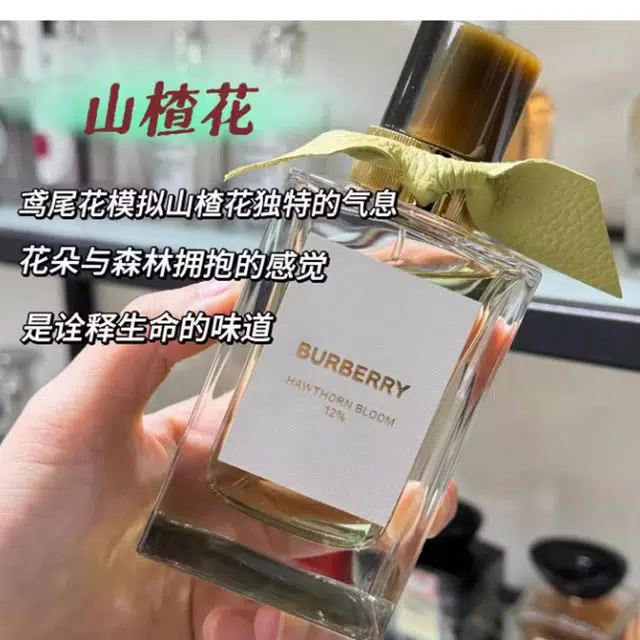 Burberry EDP 100ml150ml