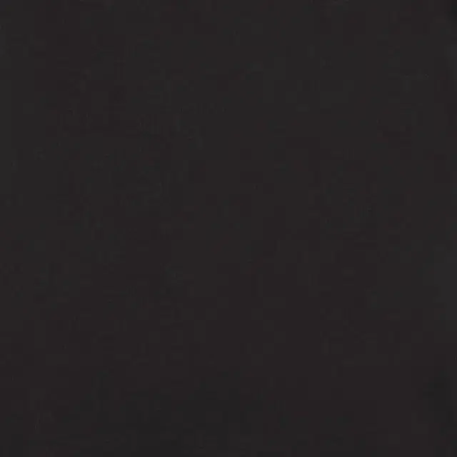 Polo Ralph Lauren LogoT