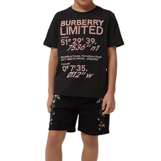 Burberry LogoT