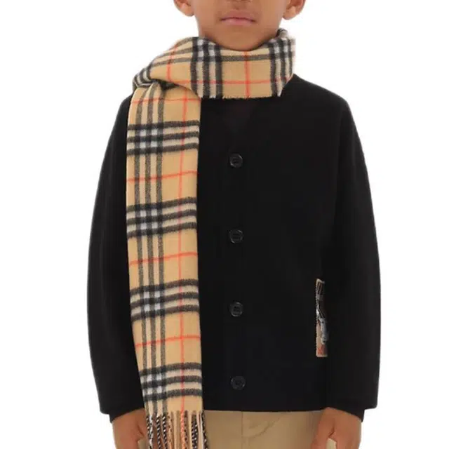 BurberryFW24 LogoV