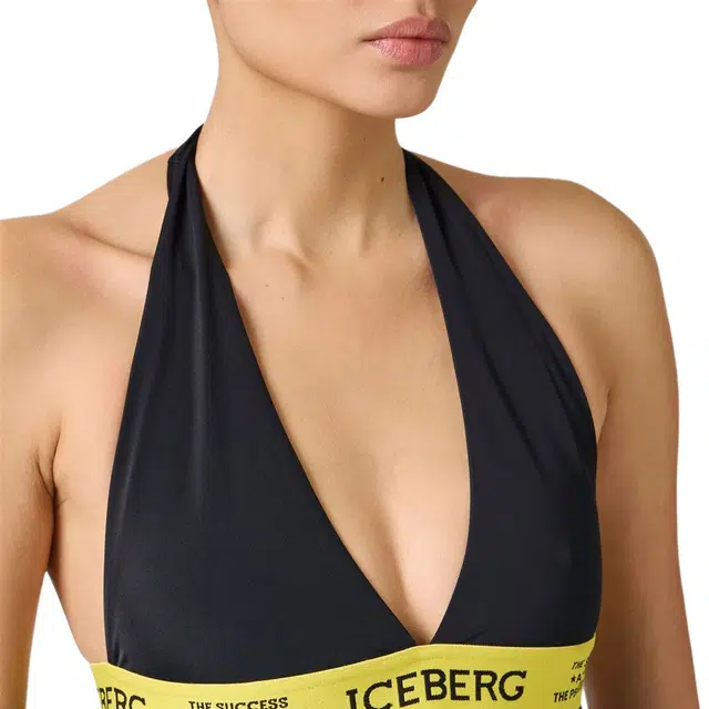 iceberg