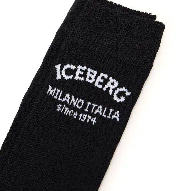 iceberg 1