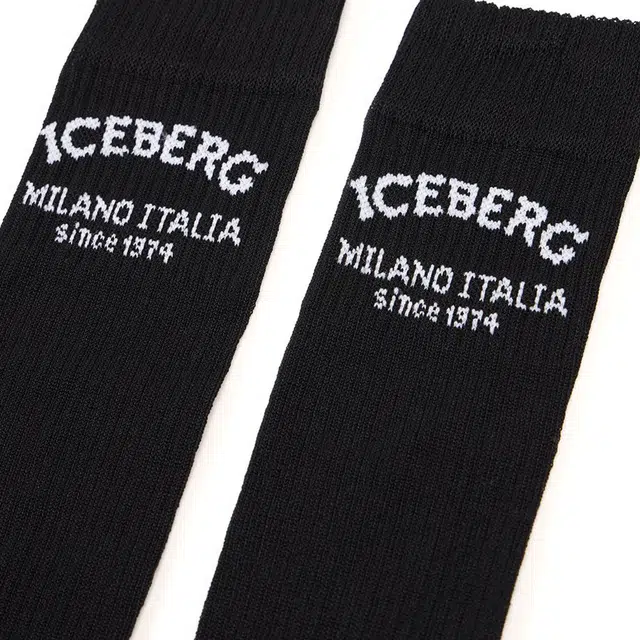 iceberg 1