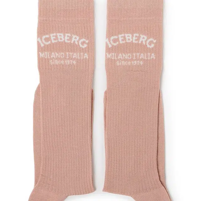 iceberg 1