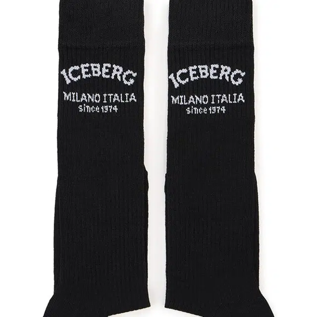 iceberg 1