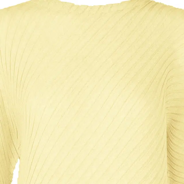 ISSEY MIYAKE SS25 T