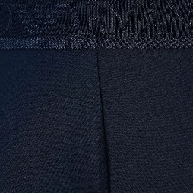 EMPORIO ARMANI Logo 1