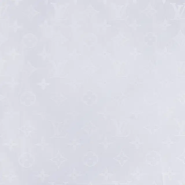 LOUIS VUITTON FW25