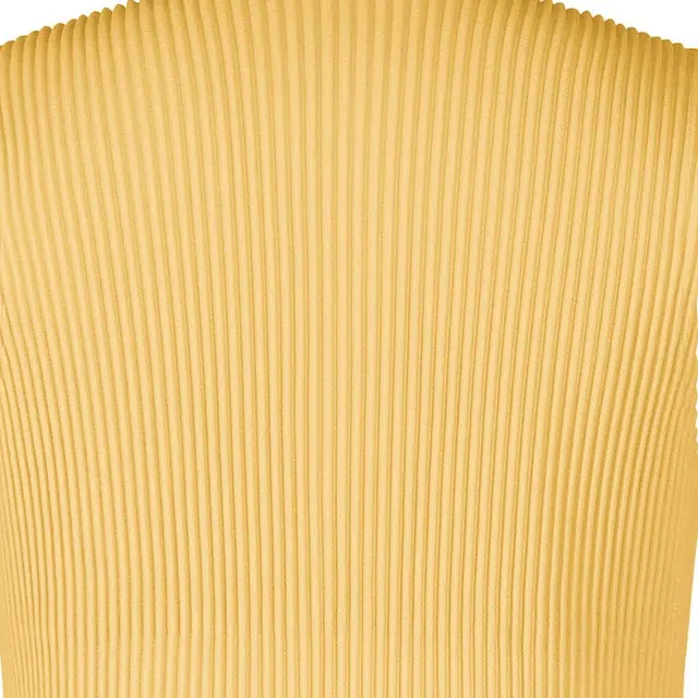 Homme Pliss Issey Miyake FW25