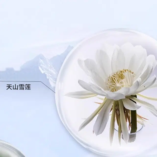 韩后 雪玲珑水乳精华霜护肤套装 保湿补水 五件套