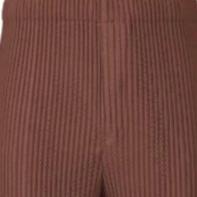 Homme Pliss Issey Miyake SS25