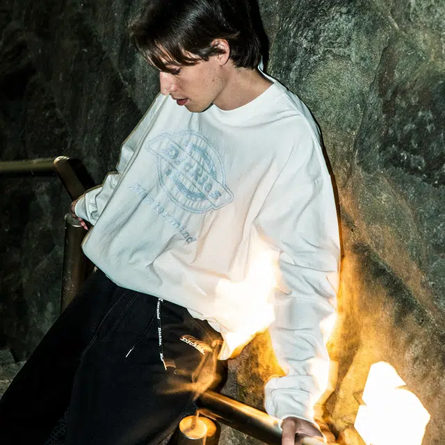 Dickies x mastermind JAPAN DK0A8D83