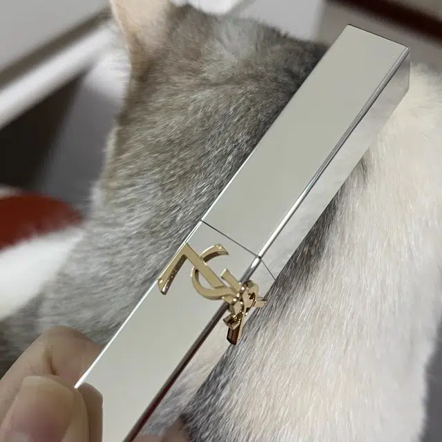 YSL 314