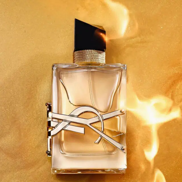 YSL 2