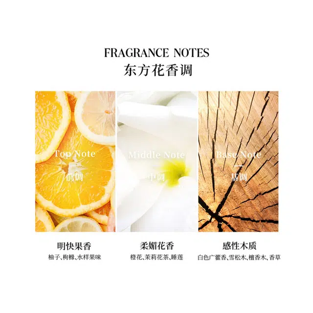 EDP 100ml+200ml+200ml