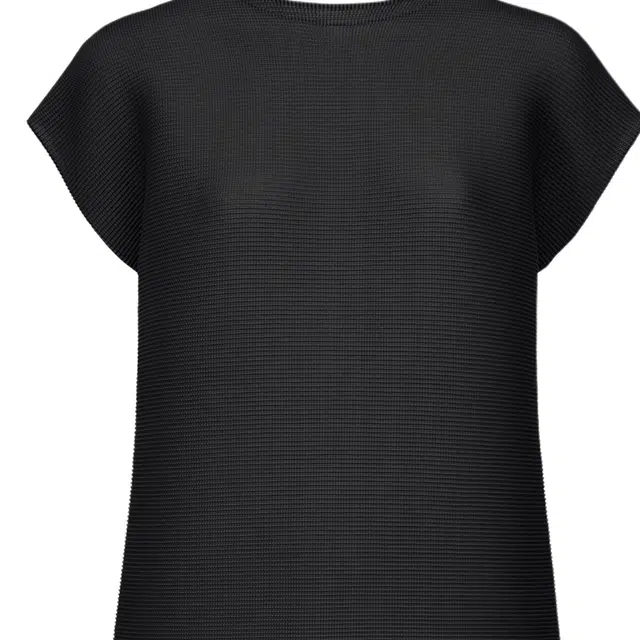 ISSEY MIYAKE FW25 T