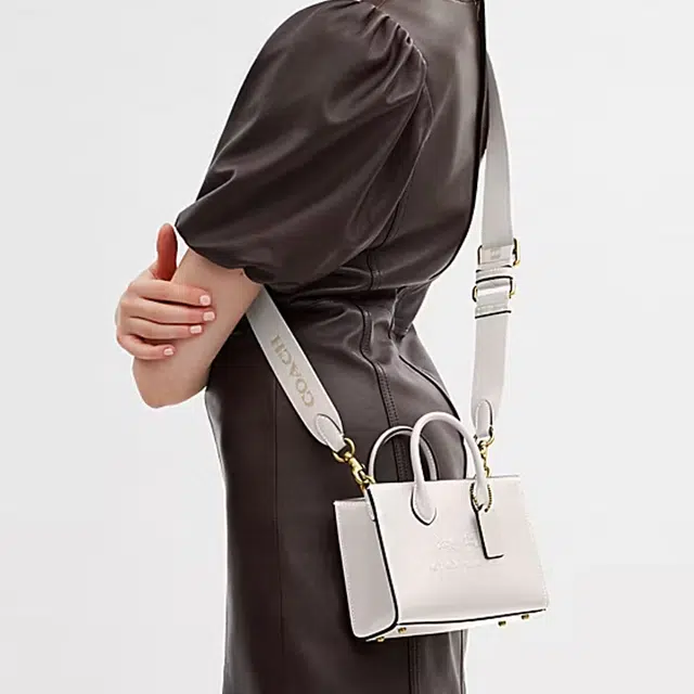 COACH Ace 17 Tote