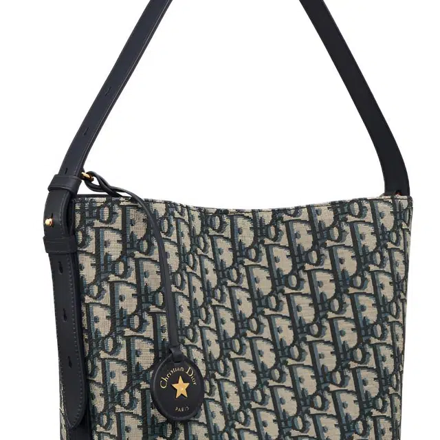 DIOR Diorstar Oblique