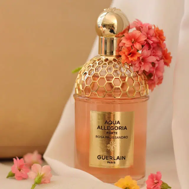 EDP 75ml125ml2023