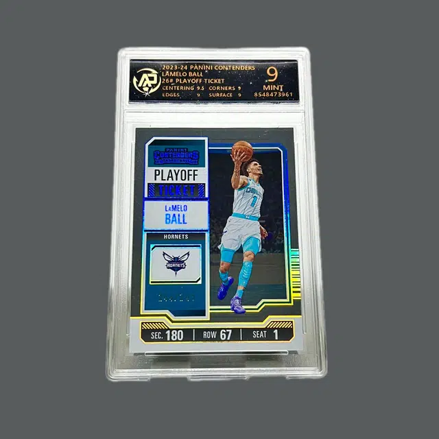 PANINI 244249