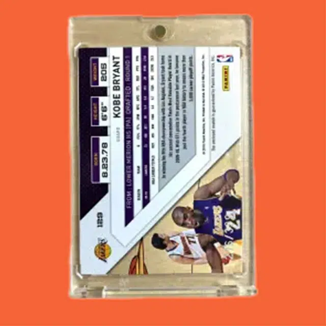 PANINI 399 276399