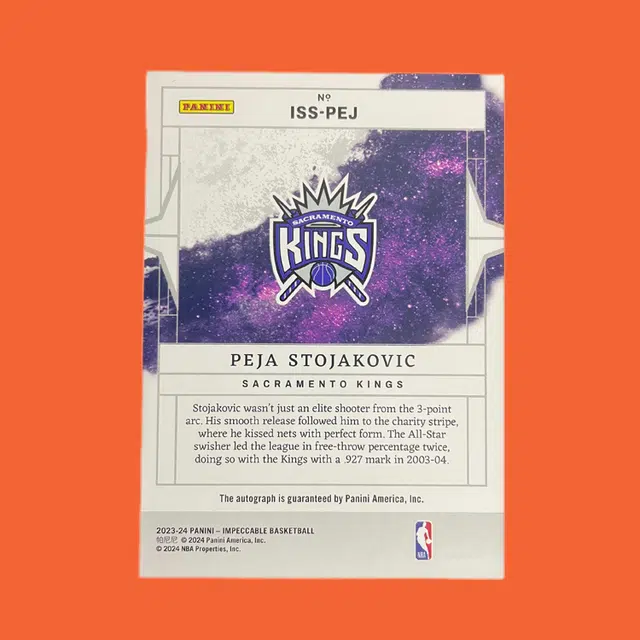PANINI 2023-24 1925