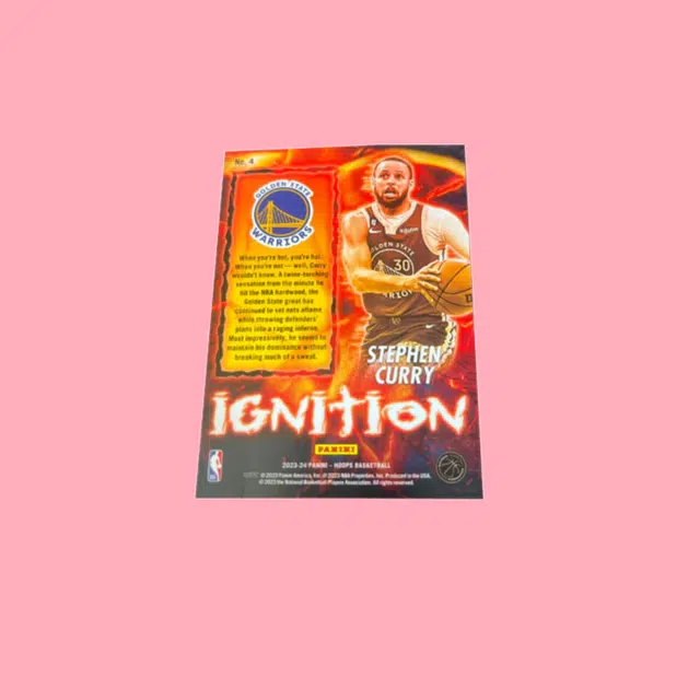 PANINI hoops