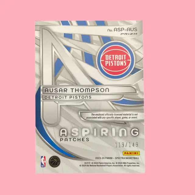 PANINI RC 119149 Patch