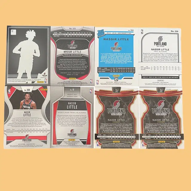 PANINI 2019-20 RC 8