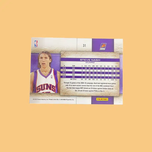 PANINI 2010