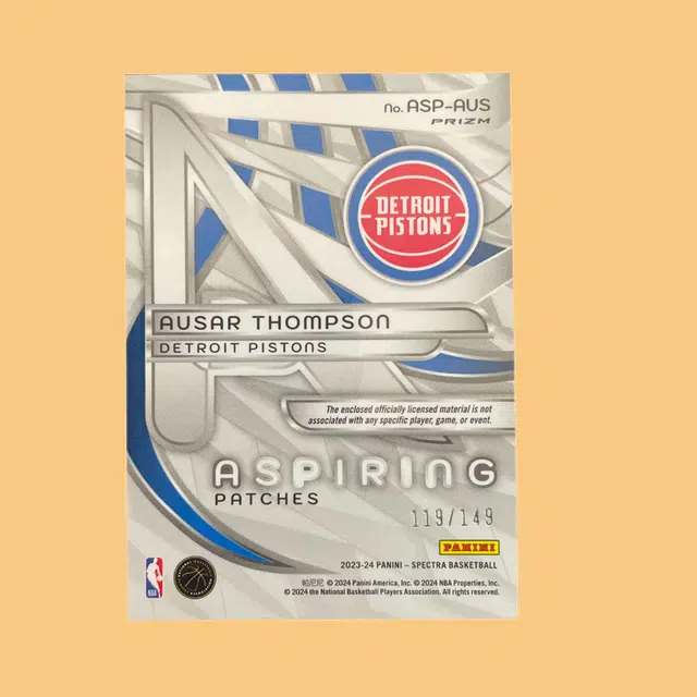 PANINI RC 119149 Patch