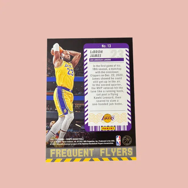 PANINI hoops