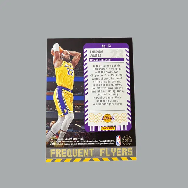 PANINI hoops