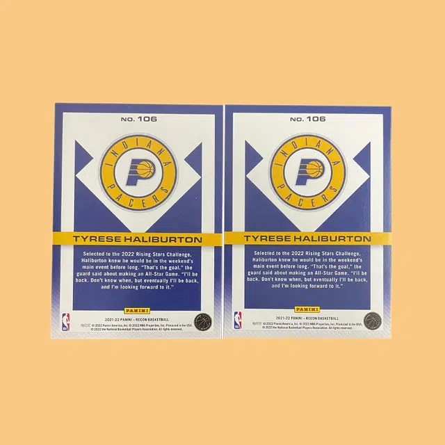 PANINI 2021-22 +199