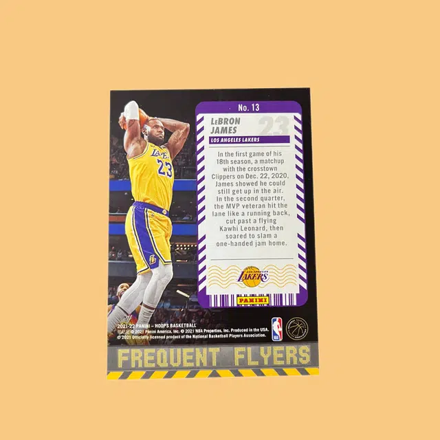 PANINI hoops