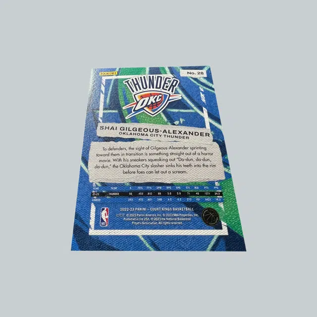 PANINI SGA