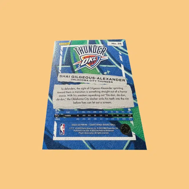 PANINI SGA