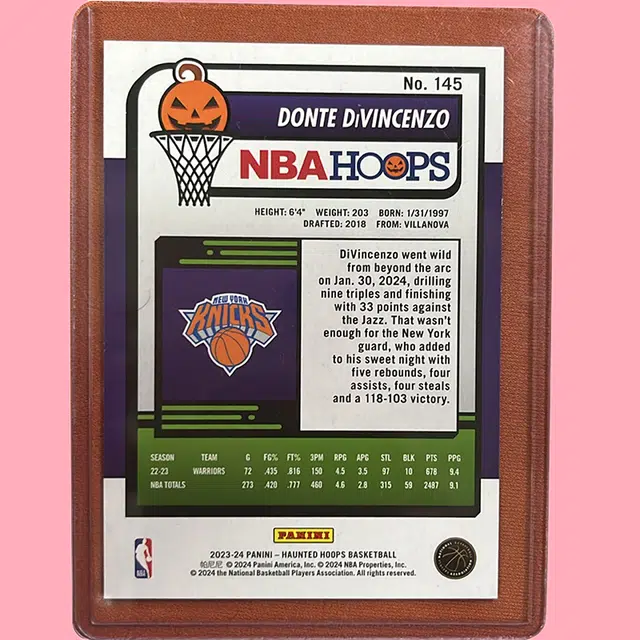 PANINI hoops