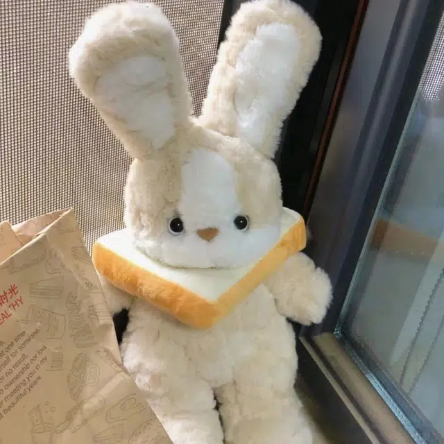 40cm