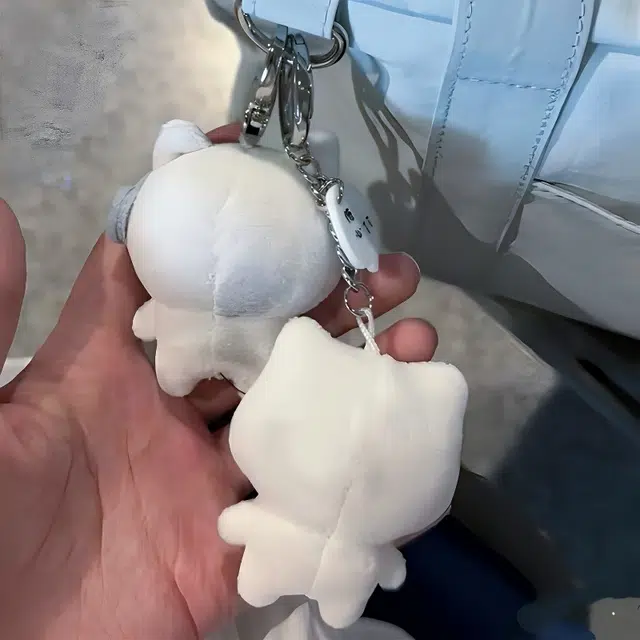 6.5cm