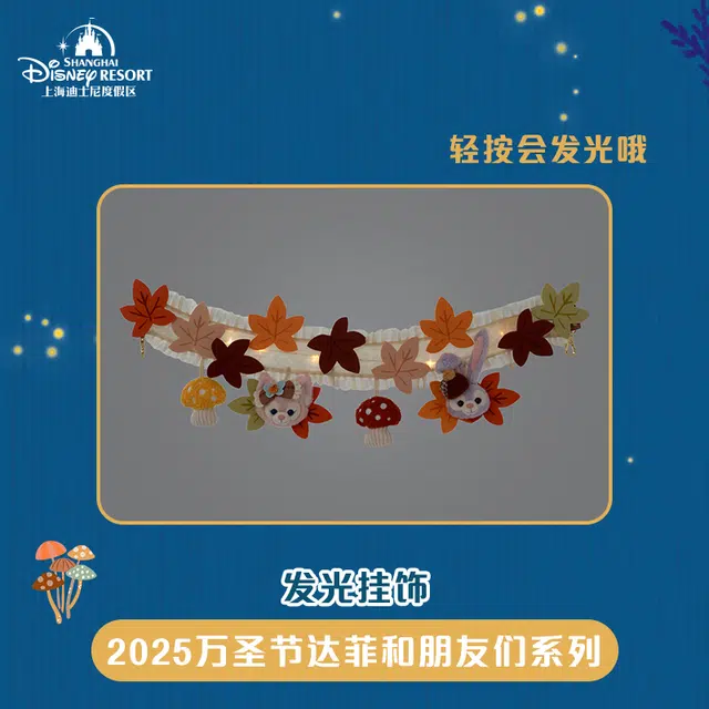 Disney x DISNEYLAND 2025 IP