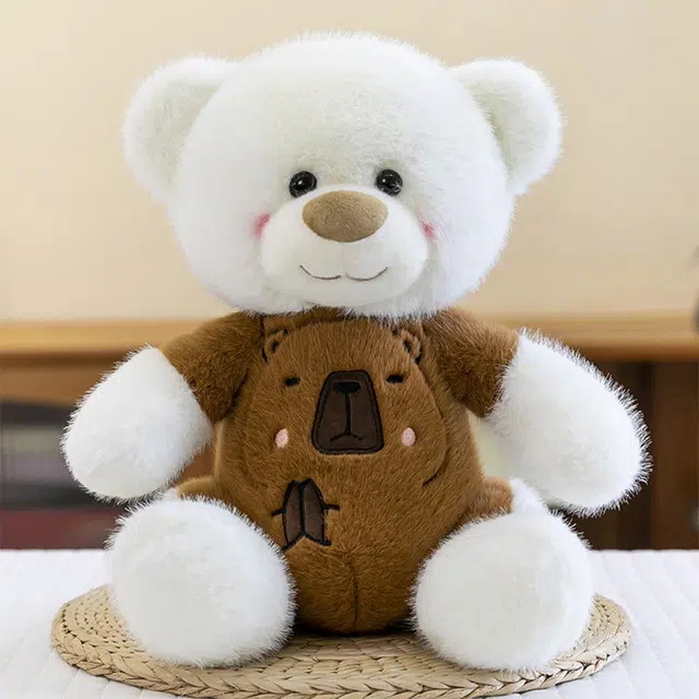25cm30cm