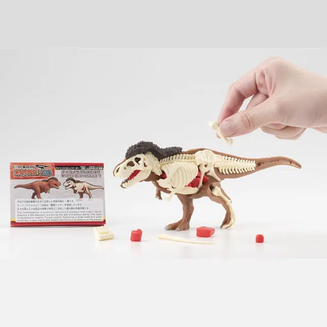 MegaHouse