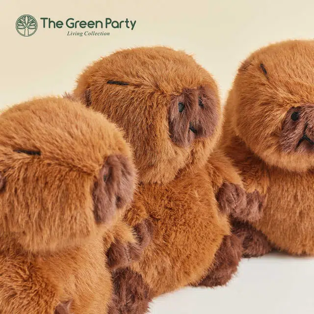 The Green Party 30cm