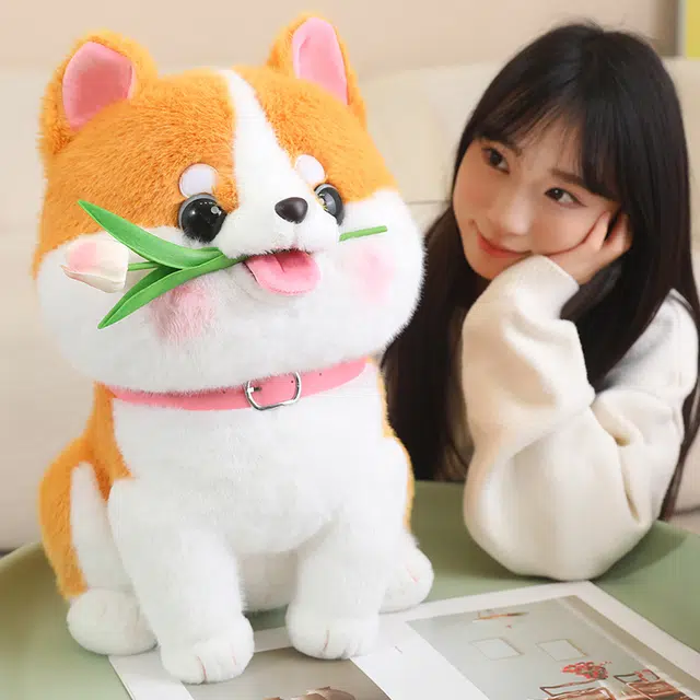 35cm45cm60cm