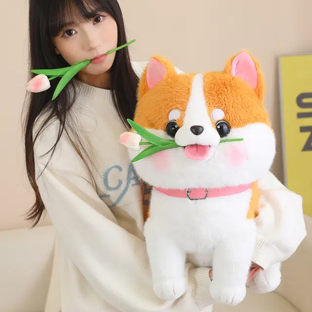 35cm45cm60cm