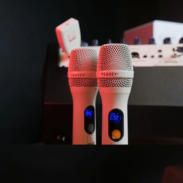 PEAVEY () P1-100W2 12